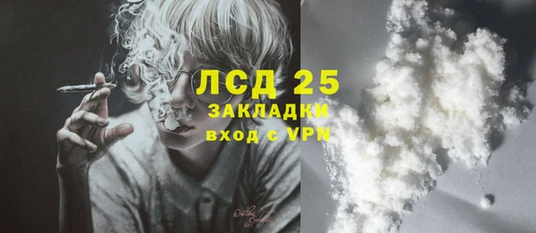 индика Арсеньев