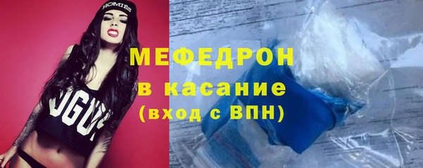 индика Арсеньев