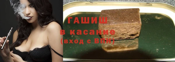 индика Арсеньев