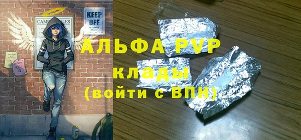 индика Арсеньев