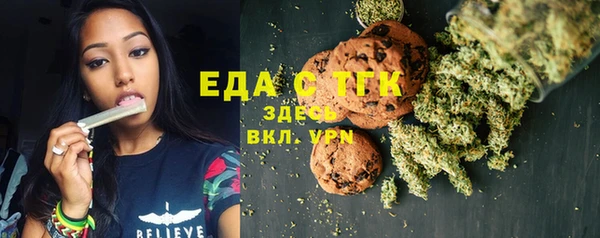 индика Арсеньев
