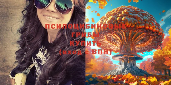 мет Балахна