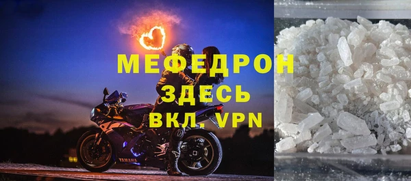 индика Арсеньев