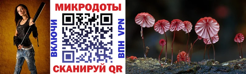 Псилоцибиновые грибы мицелий Кубинка