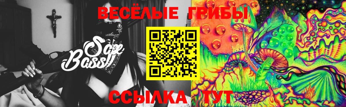 Псилоцибиновые грибы Psilocybe Кубинка