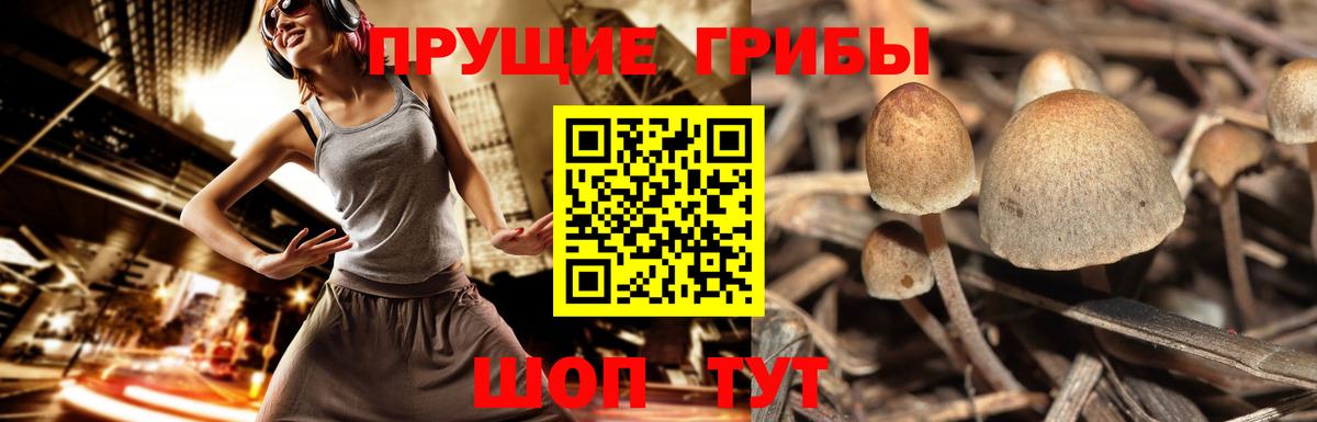 МЕФ кристаллы  Марихуана  Кубинка  Вход с VPN  Метамфетамин 
