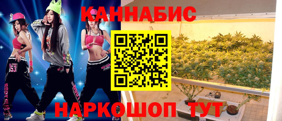 Каннабис индика Кубинка